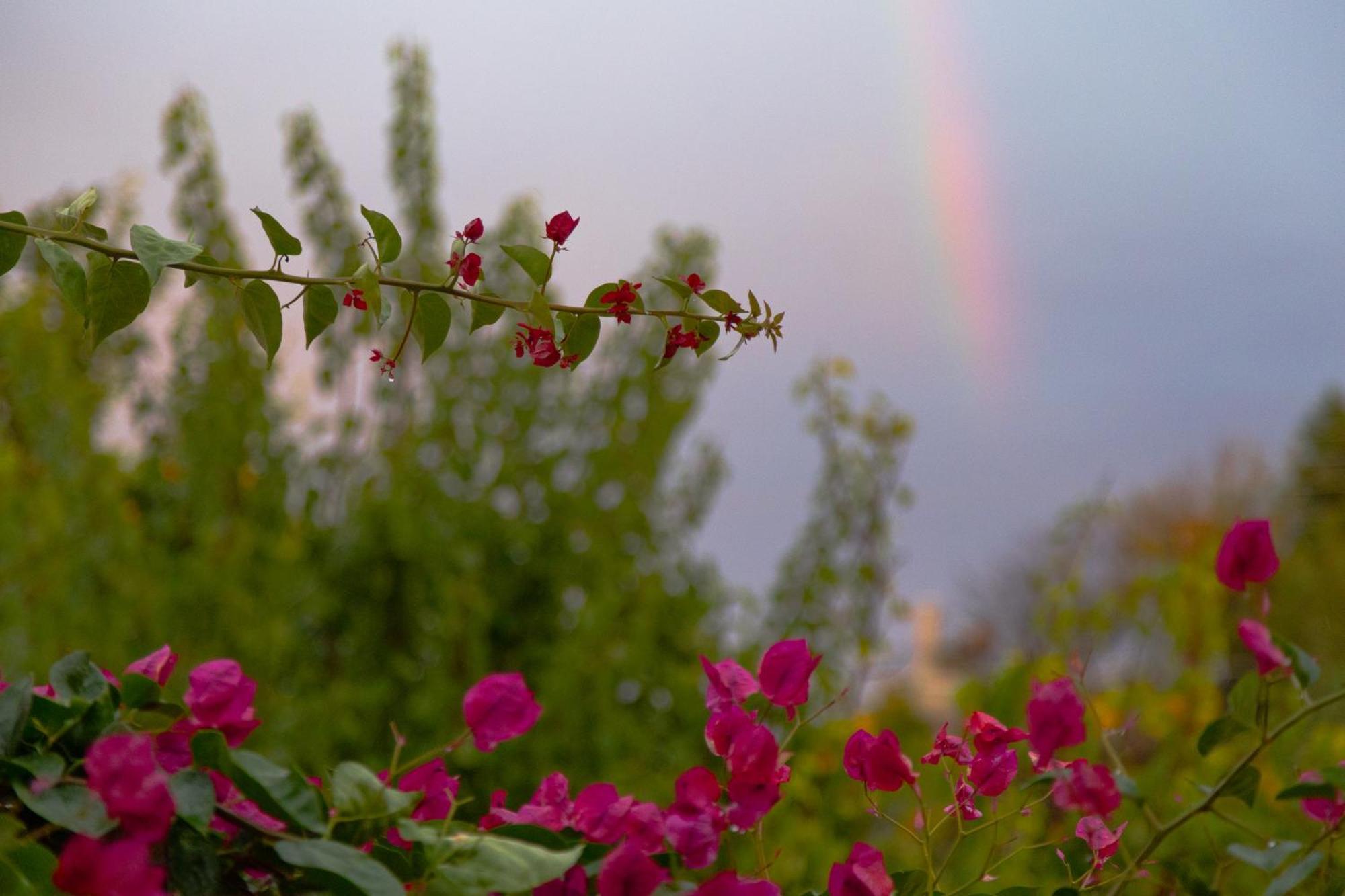 Villa Artemis Leto ภายนอก รูปภาพ