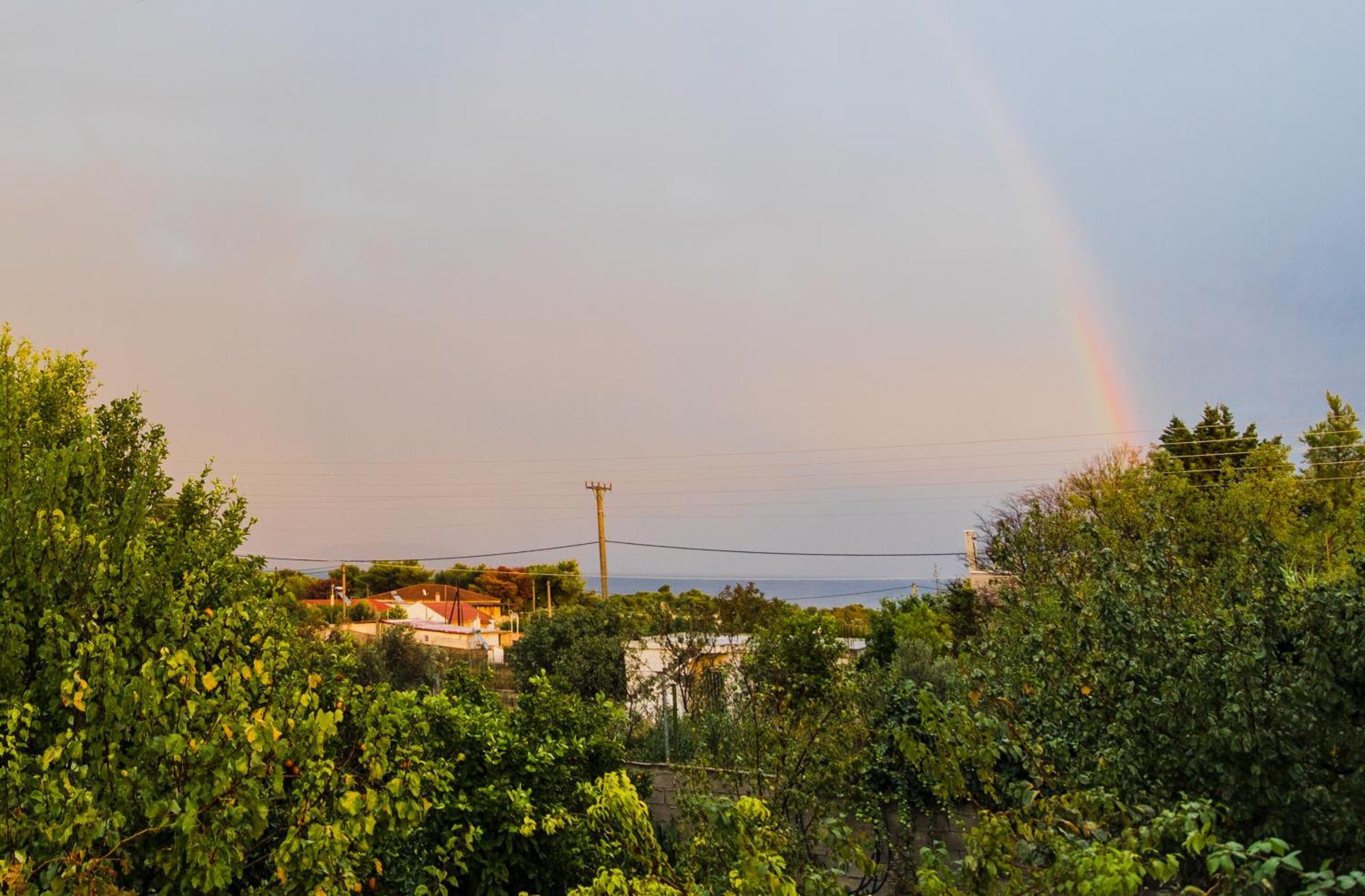 Villa Artemis Leto ภายนอก รูปภาพ